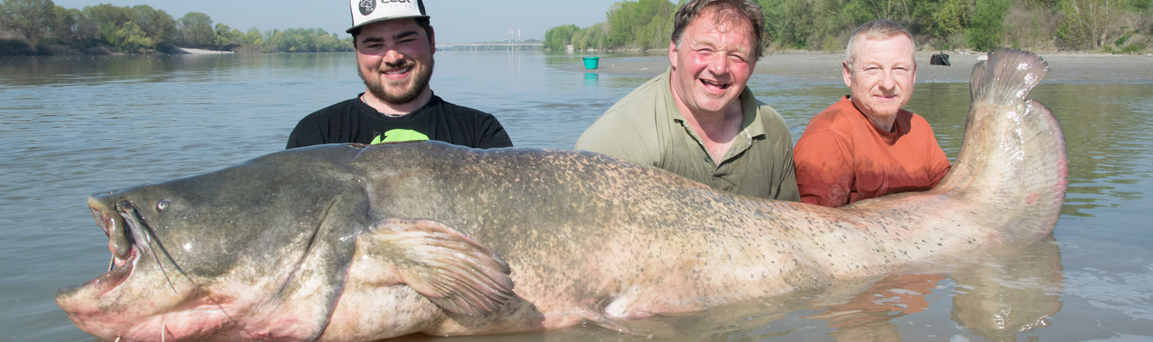 Der Po ilcampodelsiluro